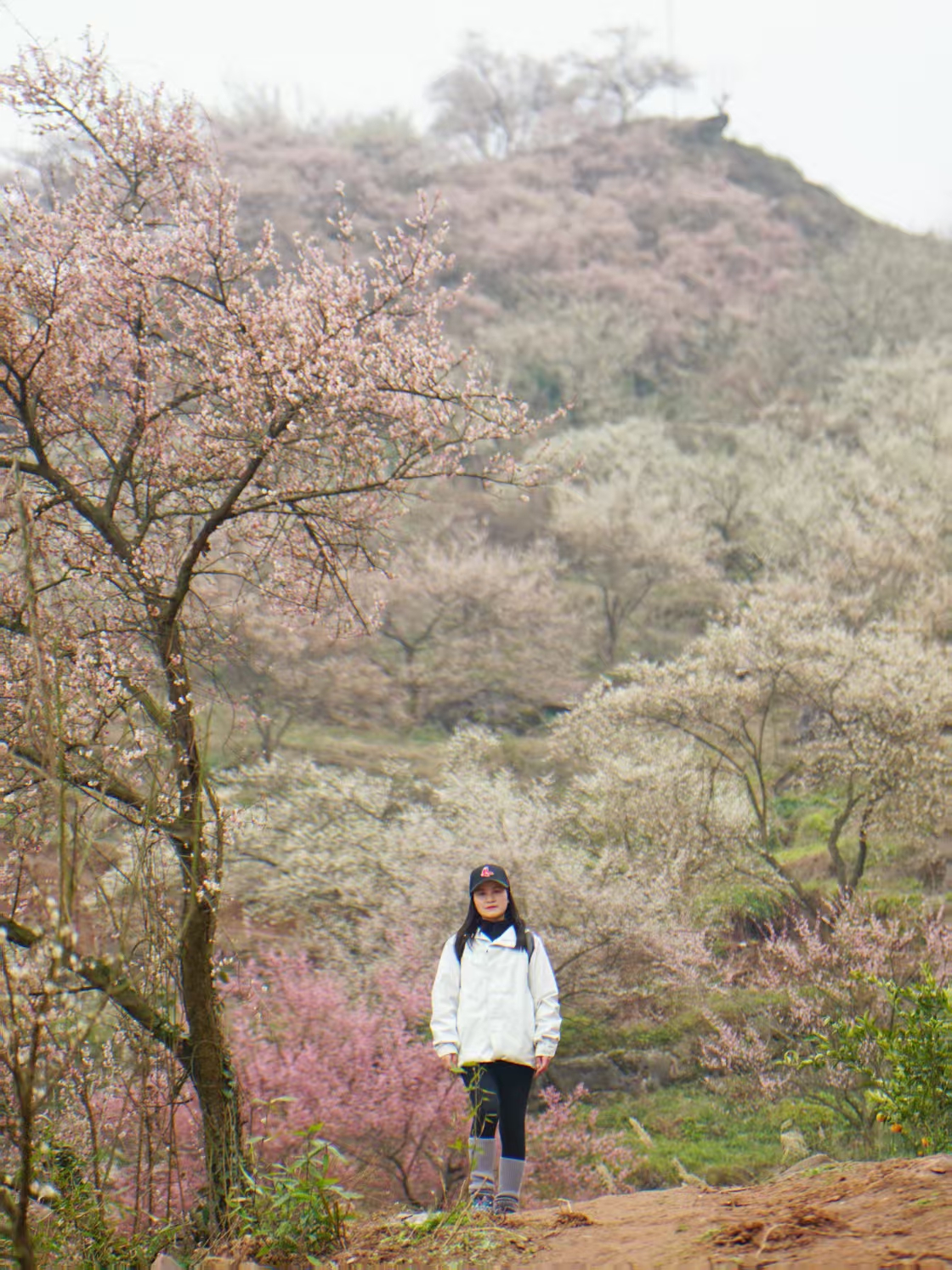 0ae1ad22d747f1068d3be8287f7af94.jpg