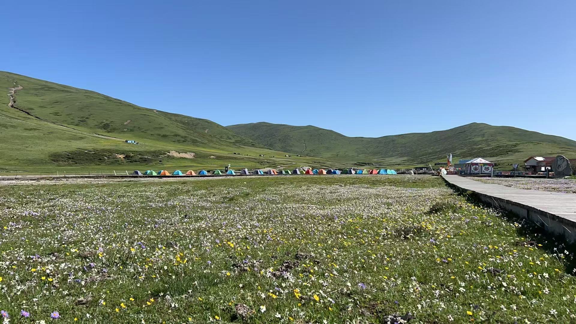 微信图片_20250616101303.jpg