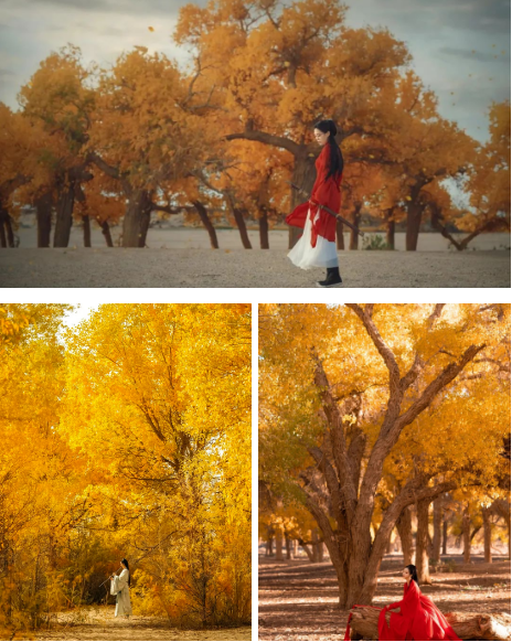 b80d6790a6987e8d7f2ba23a04e54ff.png