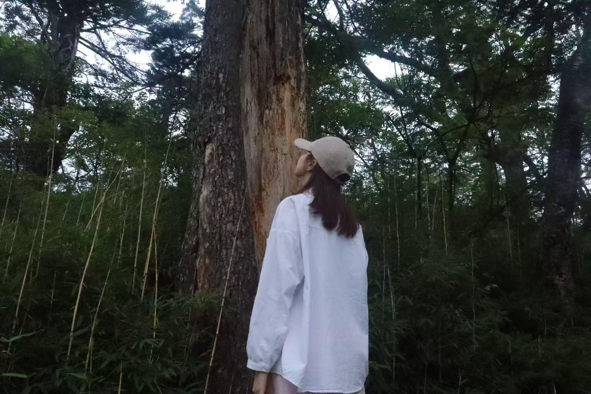 微信图片_20250804093138.jpg