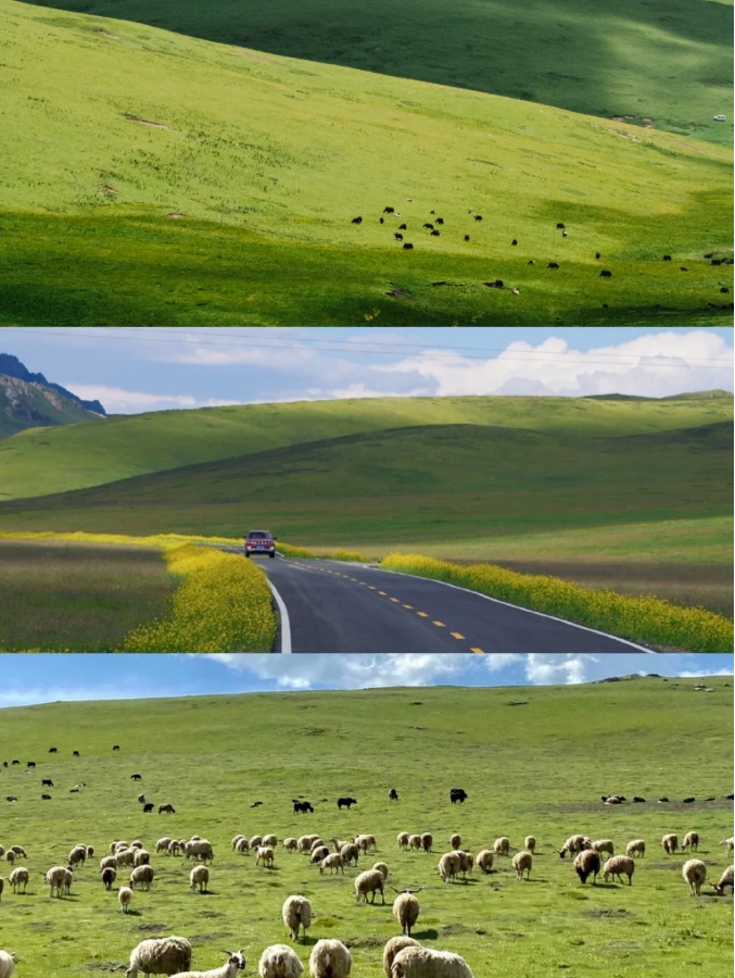 7d3452233a57862fca11431a3ee027b.png