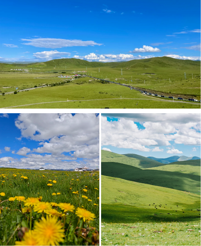f6ad8328aa90d601efd39ab893a945d.png