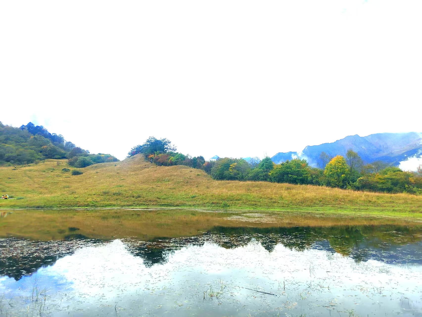 微信图片_20251020102923.jpg