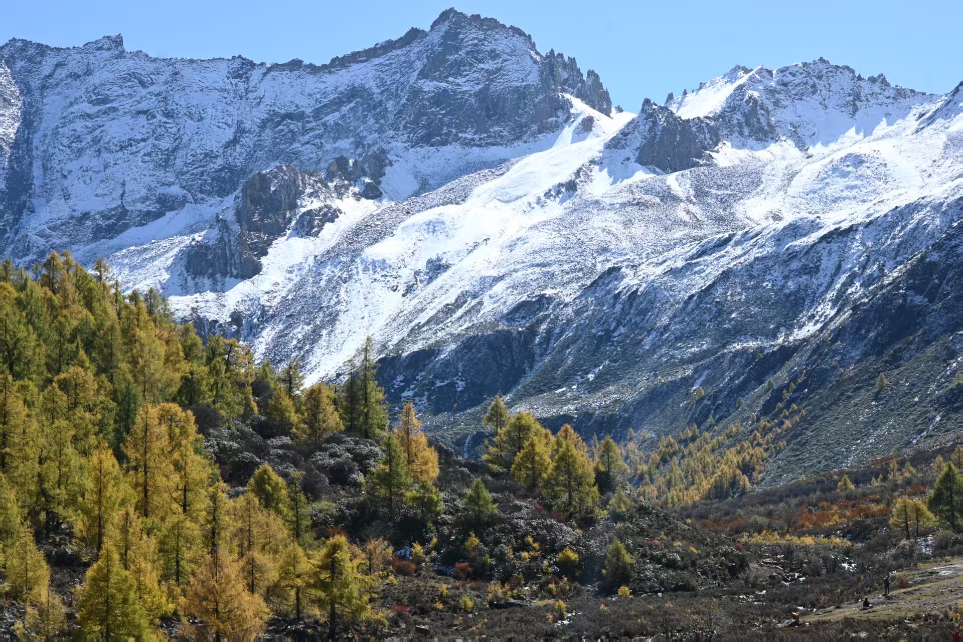 1761183734908864.jpg 微信图片_20251023093755.jpg