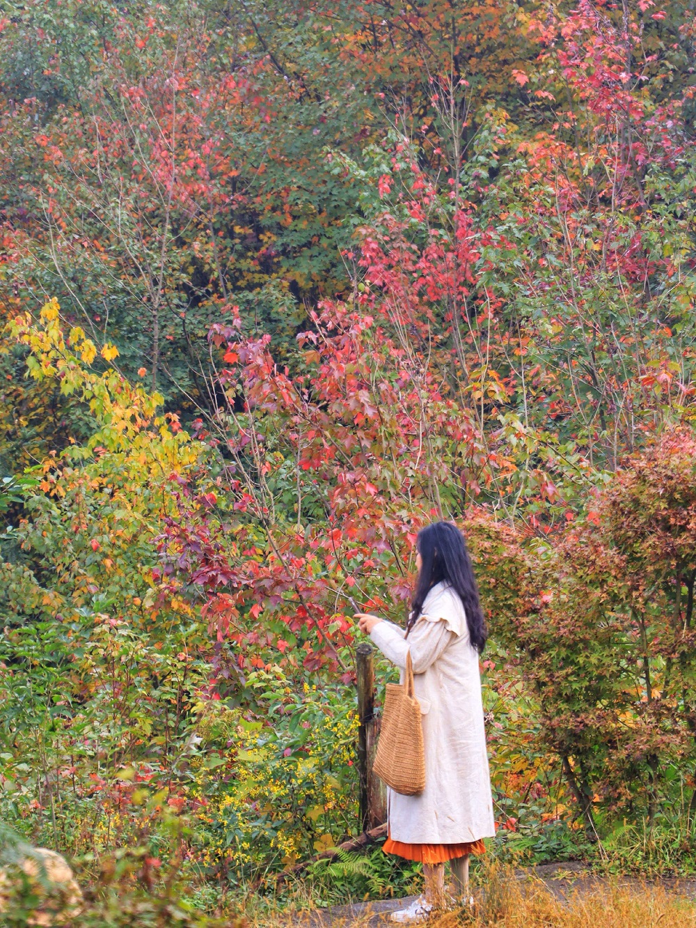 1761383331398238.jpg 74e6226f1cfbab76ae68bf7f6fdac4b.jpg