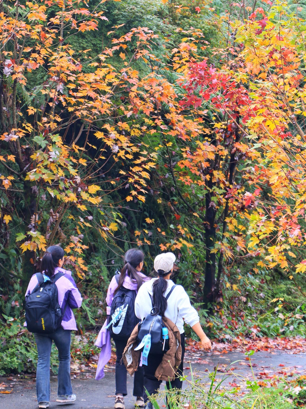 1761383345922802.jpg f599edd5b5333d1c87fc4316264eecc.jpg