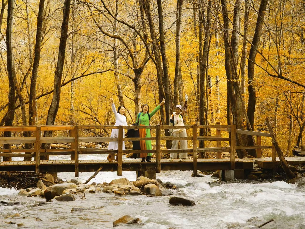 1761635363332726.jpg 227c08b255dbcfbaf5e08723e72b982.jpg