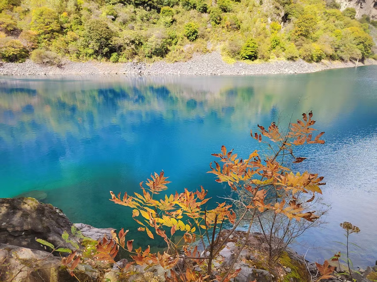 1761635369936689.jpg 38bc6b8ccfc32c8d0855868a333f23b.jpg