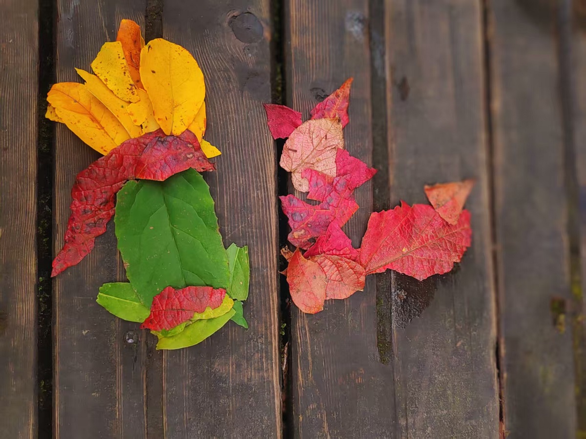 1761635376932470.jpg a81ceb62d5a9267f52526740b92d58b.jpg