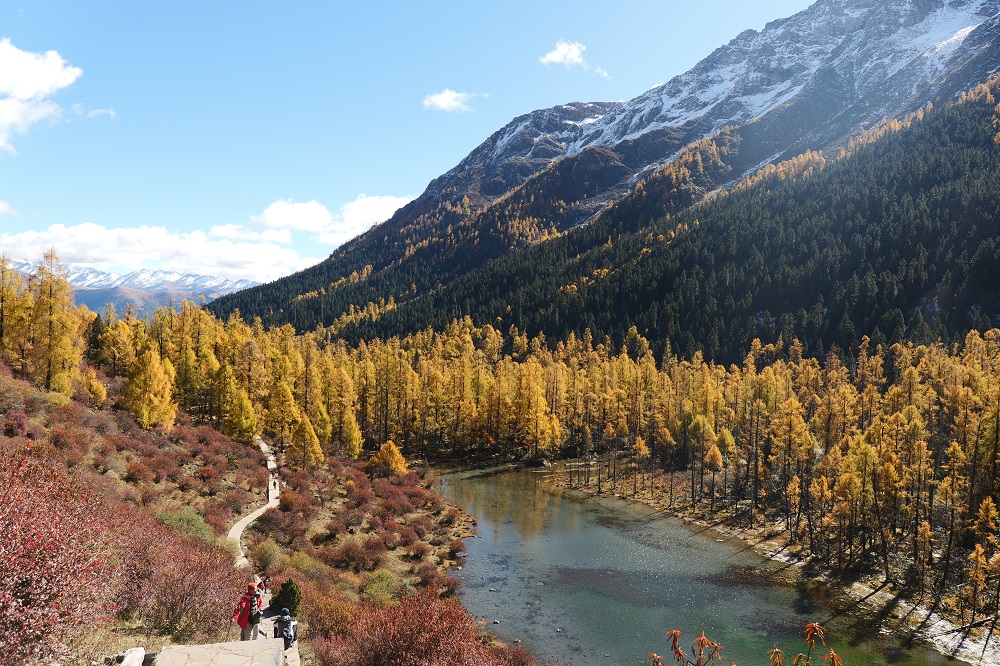 1761808363949922.jpg 00ff12e0d172e8e5c7ba53a17655fc6.jpg