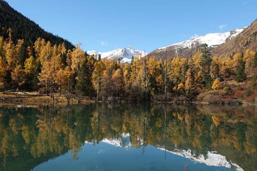 1761808371663754.jpg da2b25797416aa515c3d48711206faa.jpg