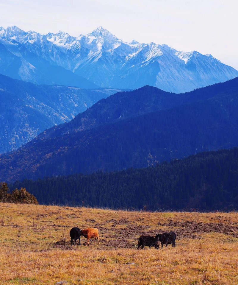 1761873223947512.jpg 1.jpg