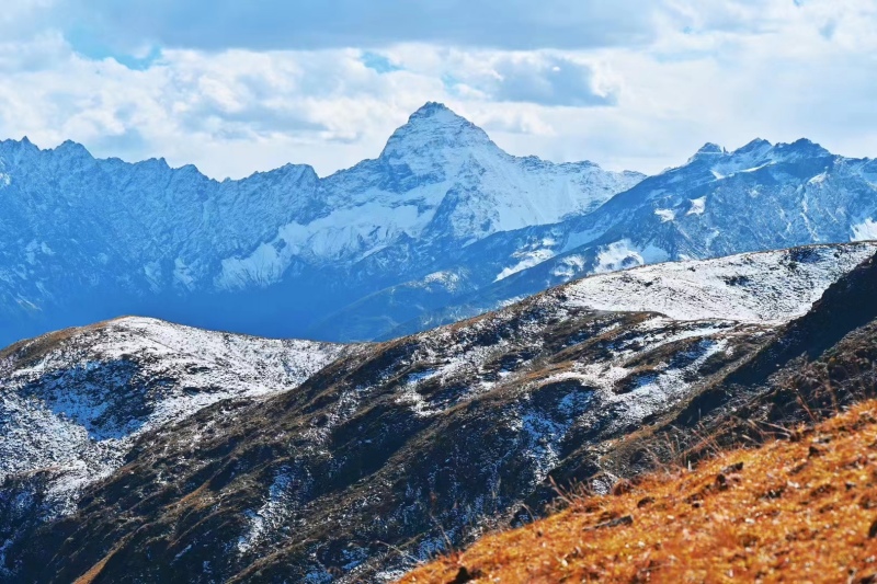 1761874985446685.jpg 1743488702555669.jpg