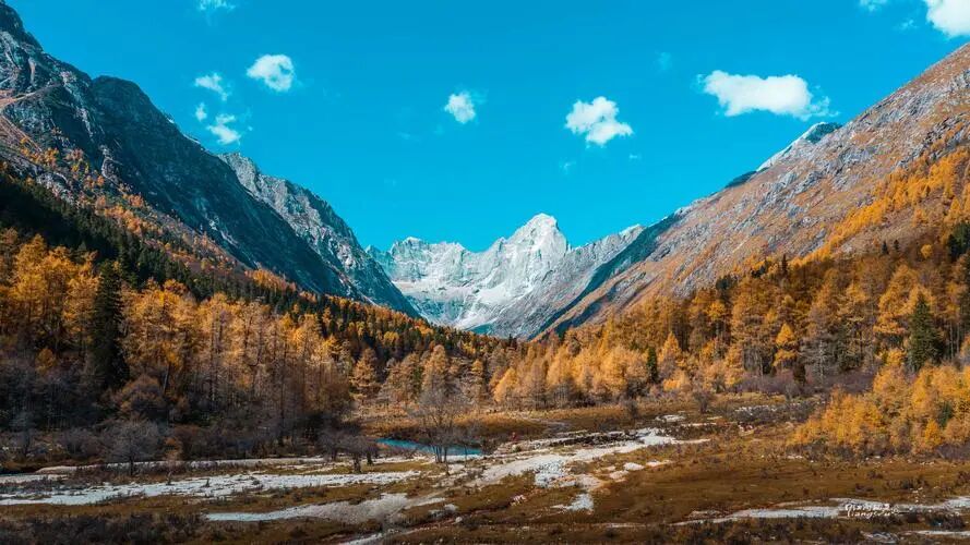 1761877741495141.jpg 640 (2).jpg