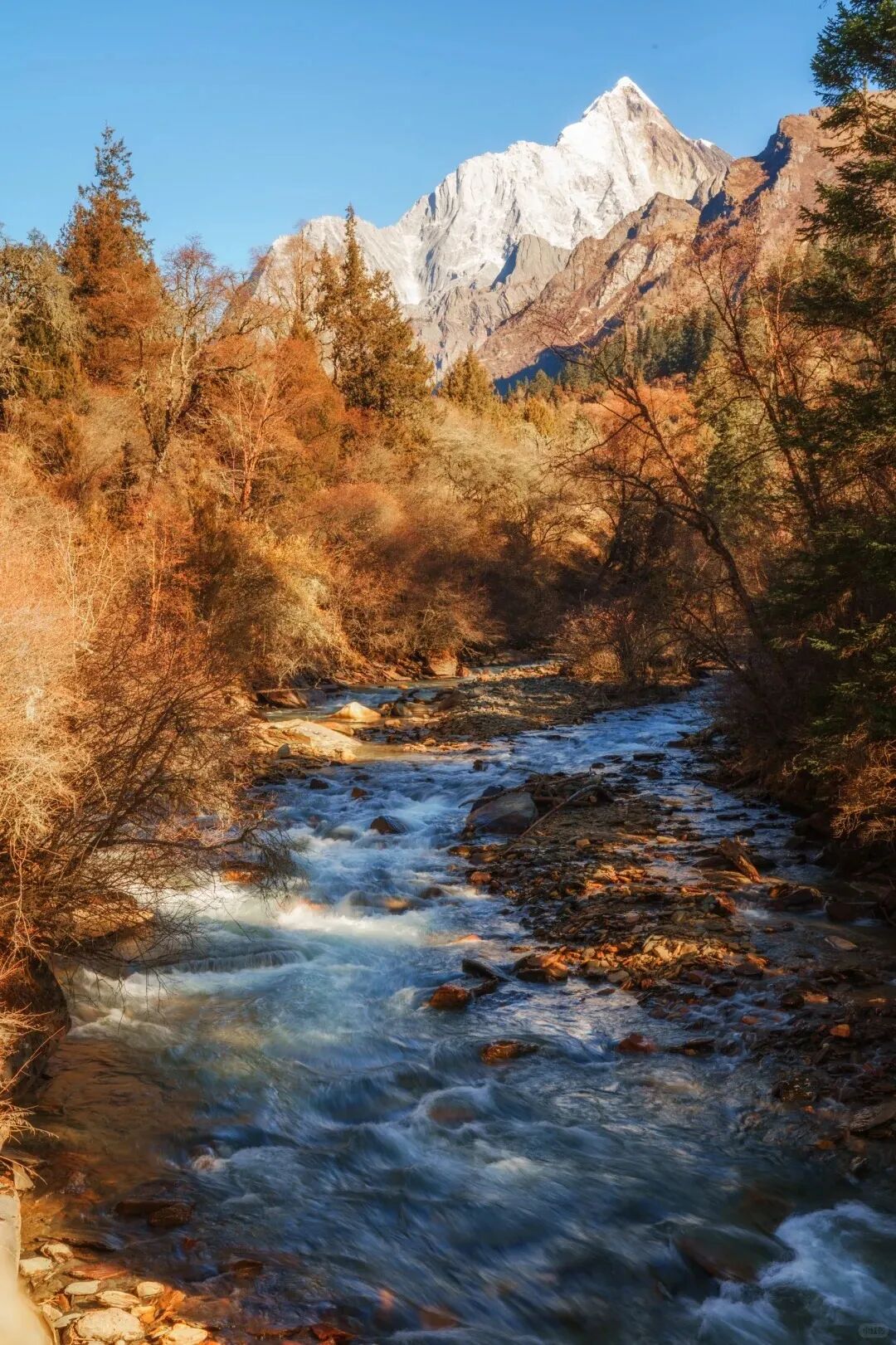 1761877832345761.jpg 11.jpg