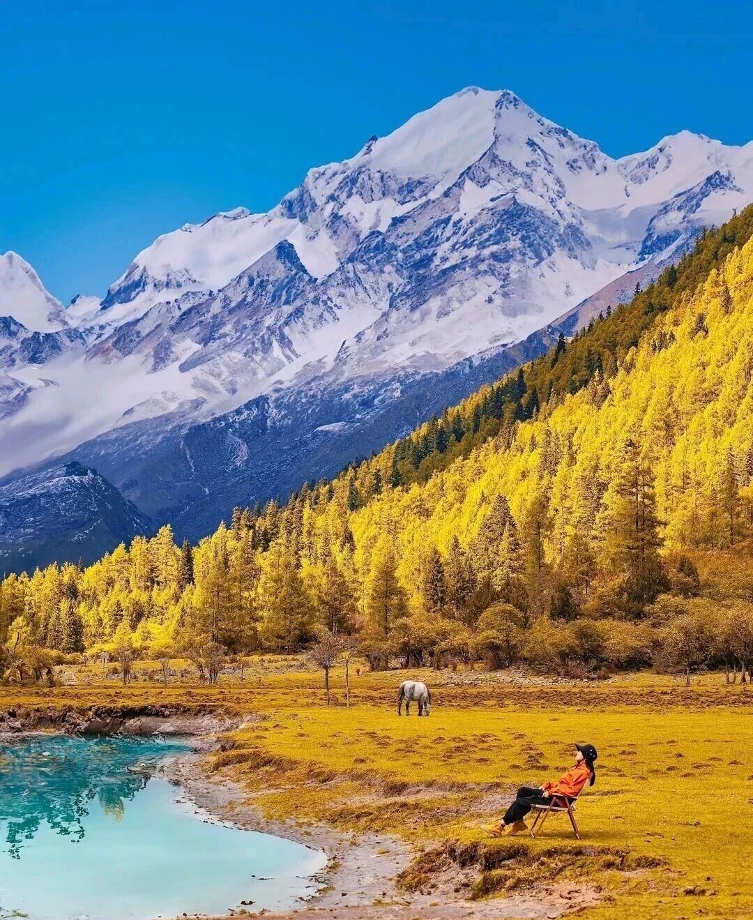 1761877979645442.jpg 0_副本.jpg