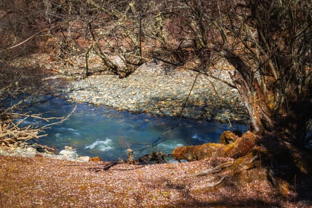 1761878698996852.jpg 14.jpg