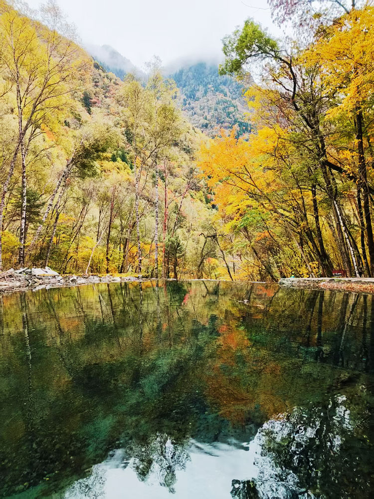 1761982455769771.jpg 微信图片_20251101150627_180_4782.jpg