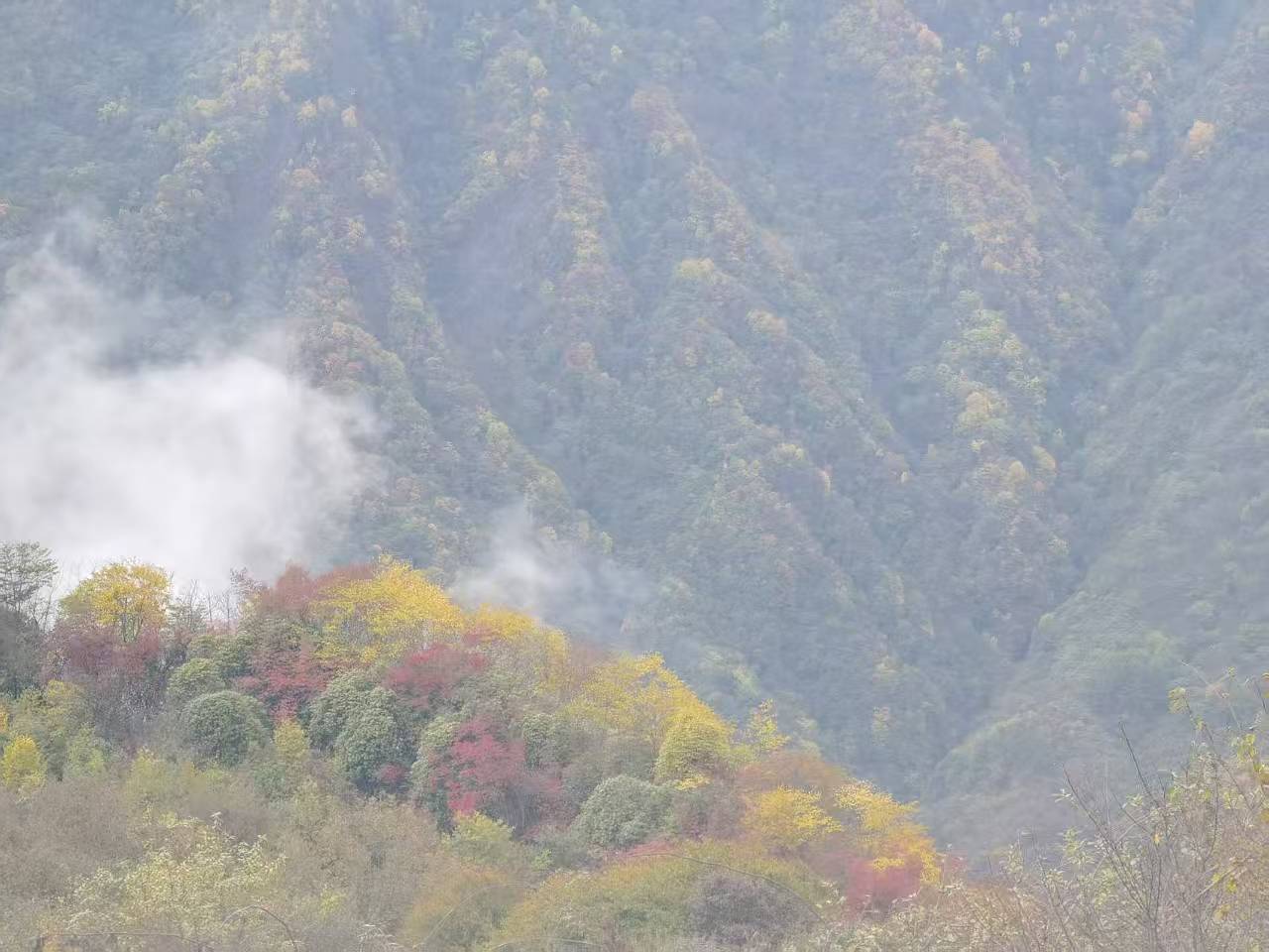 1762053127659790.jpg 微信图片_20251102111117.jpg