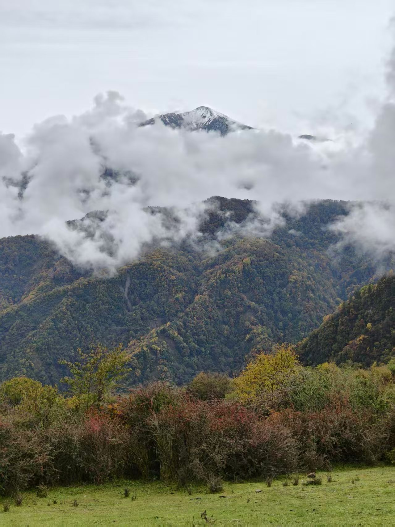 1762053314887507.jpg 微信图片_20251102111326.jpg