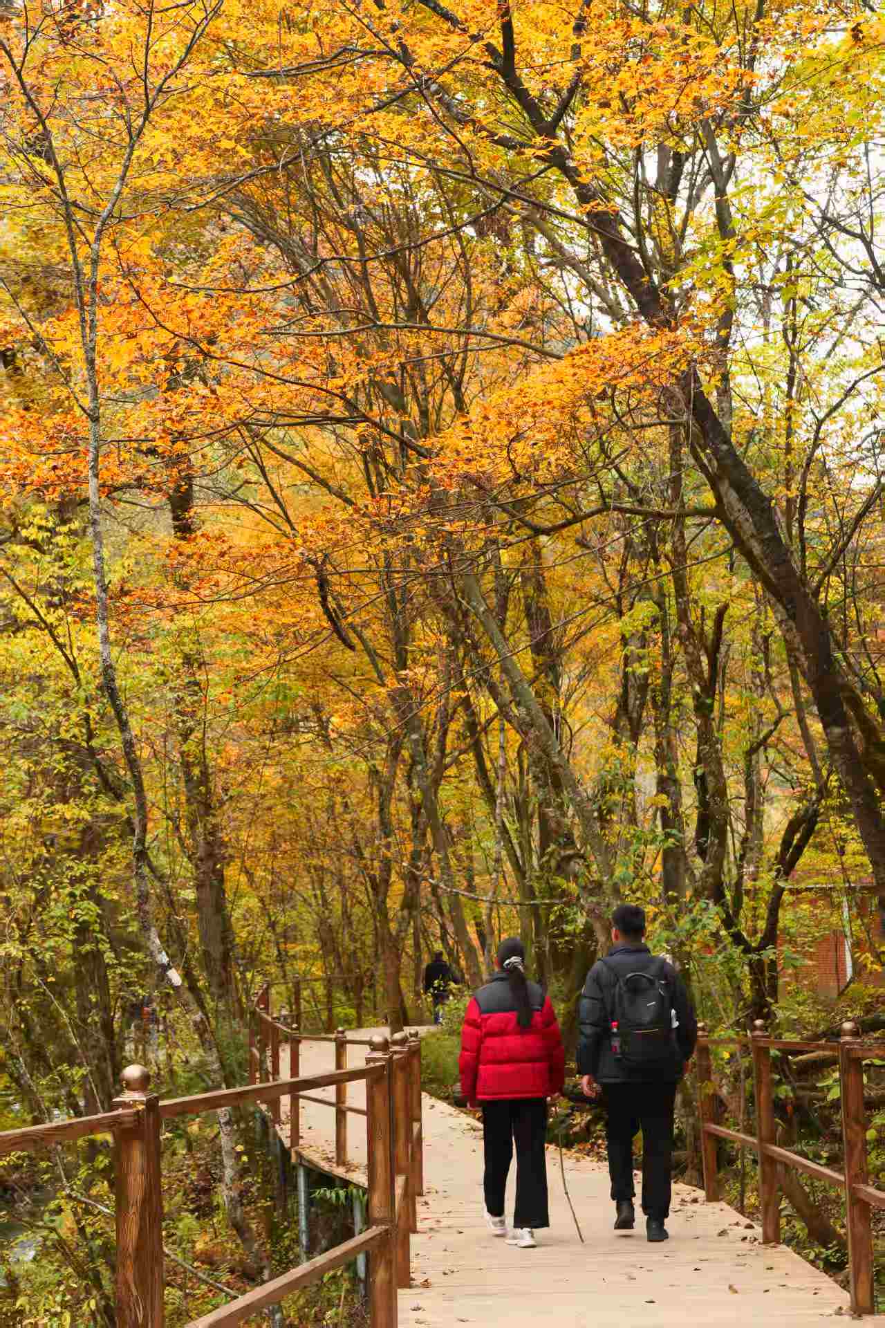 1762137533172228.jpg 8a601b319aa8ad60fb7851ef76487d0.jpg