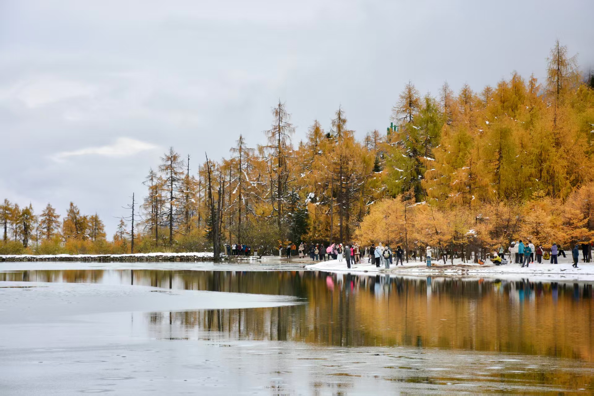 1762138498677711.jpg fa067b560c9ca83e4f612682e498565.jpg