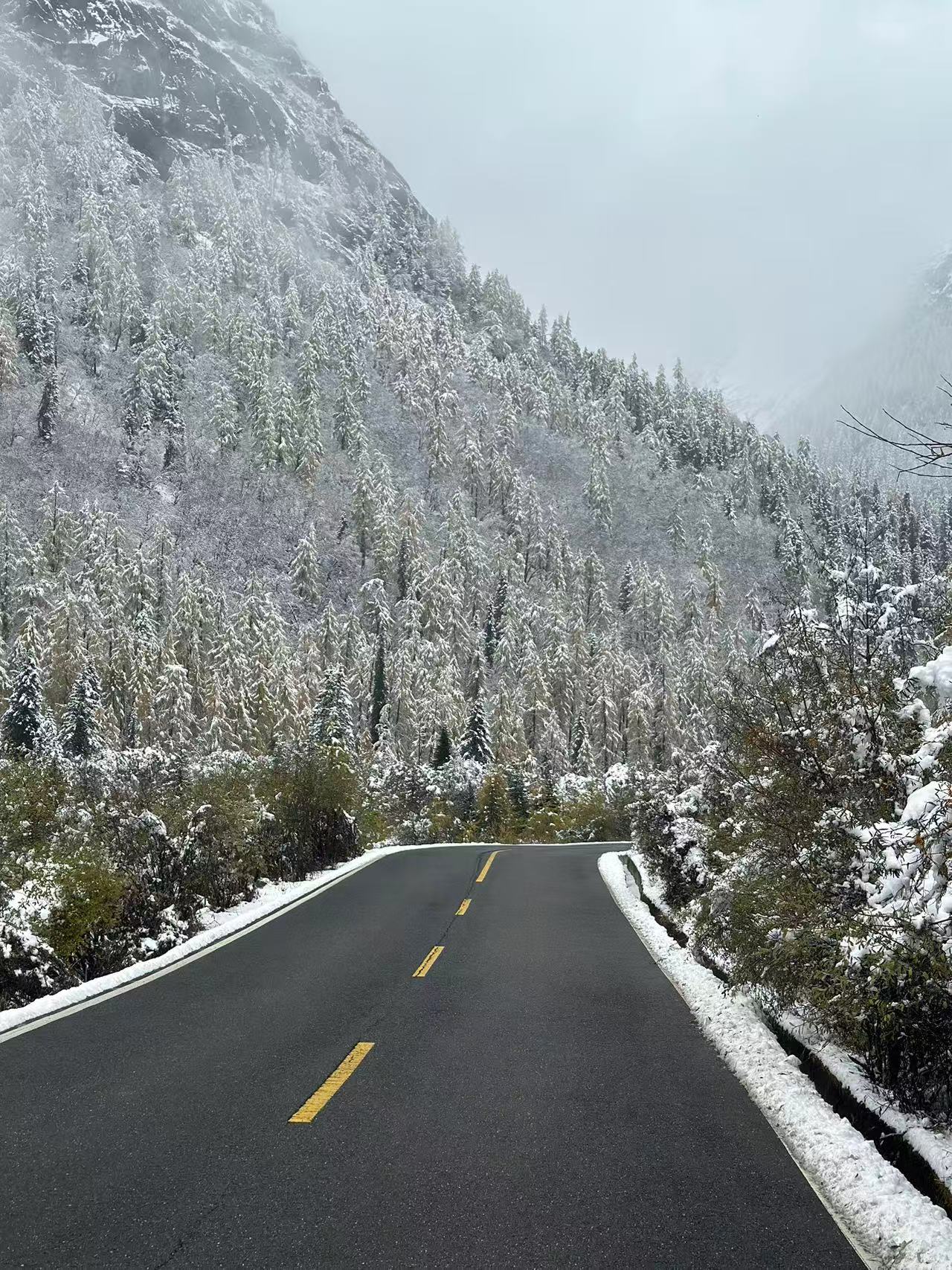 1762138590100940.jpg 987e5dcf187c0d05e0527adba7ba551.jpg