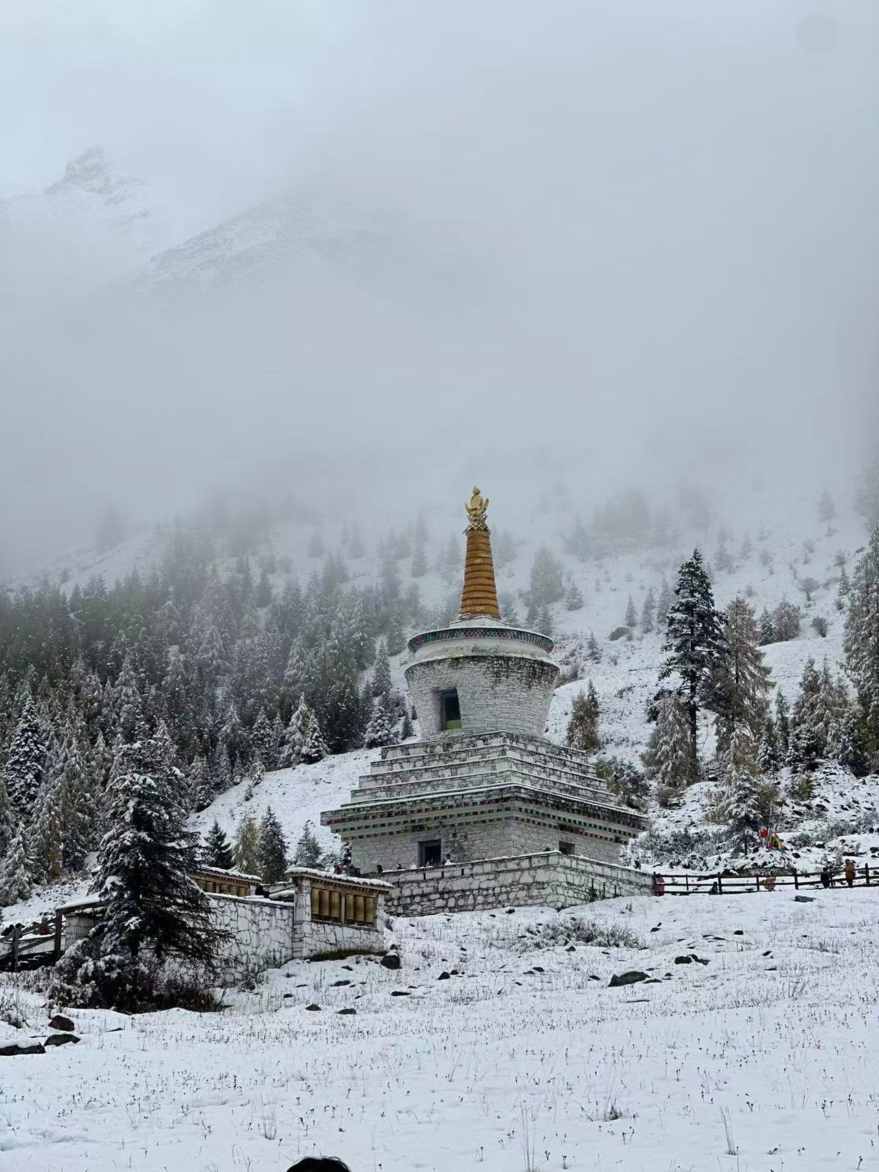 1762138602682031.jpg 73b5dc7a69fc32d2c3db744585e2099.jpg