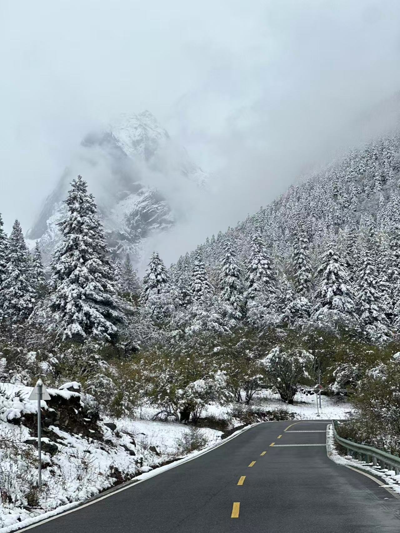 1762138614222606.jpg d66642c416a73775c3bc2a1dd975041.jpg