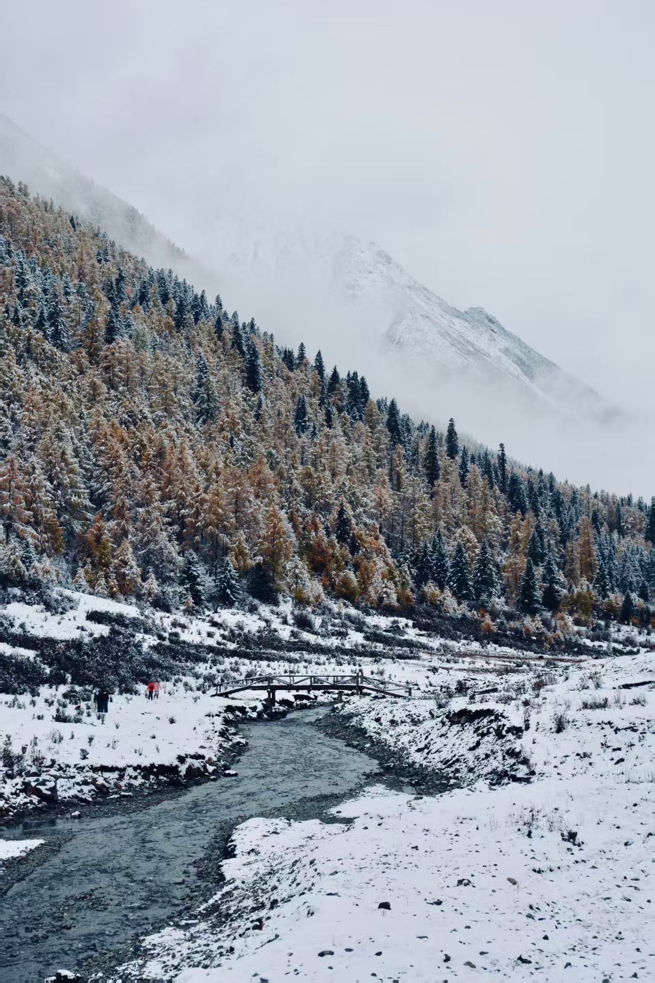 1762247739857312.jpg 825b8cdeb5a8827bb1ad1395487beb2.jpg