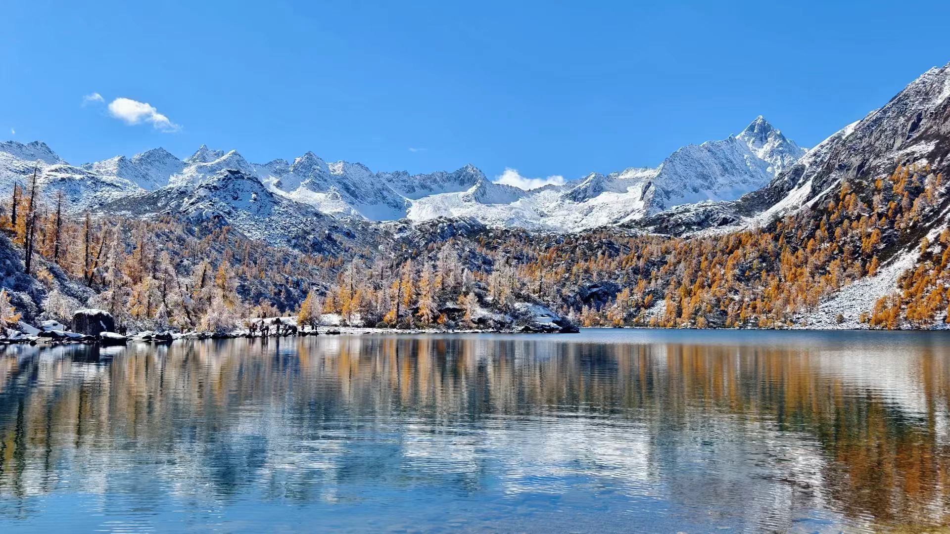 1762309863542541.jpg c5721e6f13f9e656afa822e28200b4b.jpg