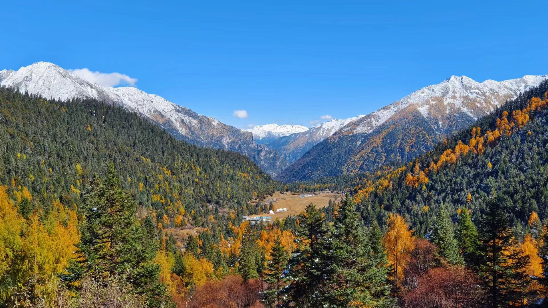 1762309869775407.jpg 292ac32ad52ca08fdf99fa89314e21f.jpg