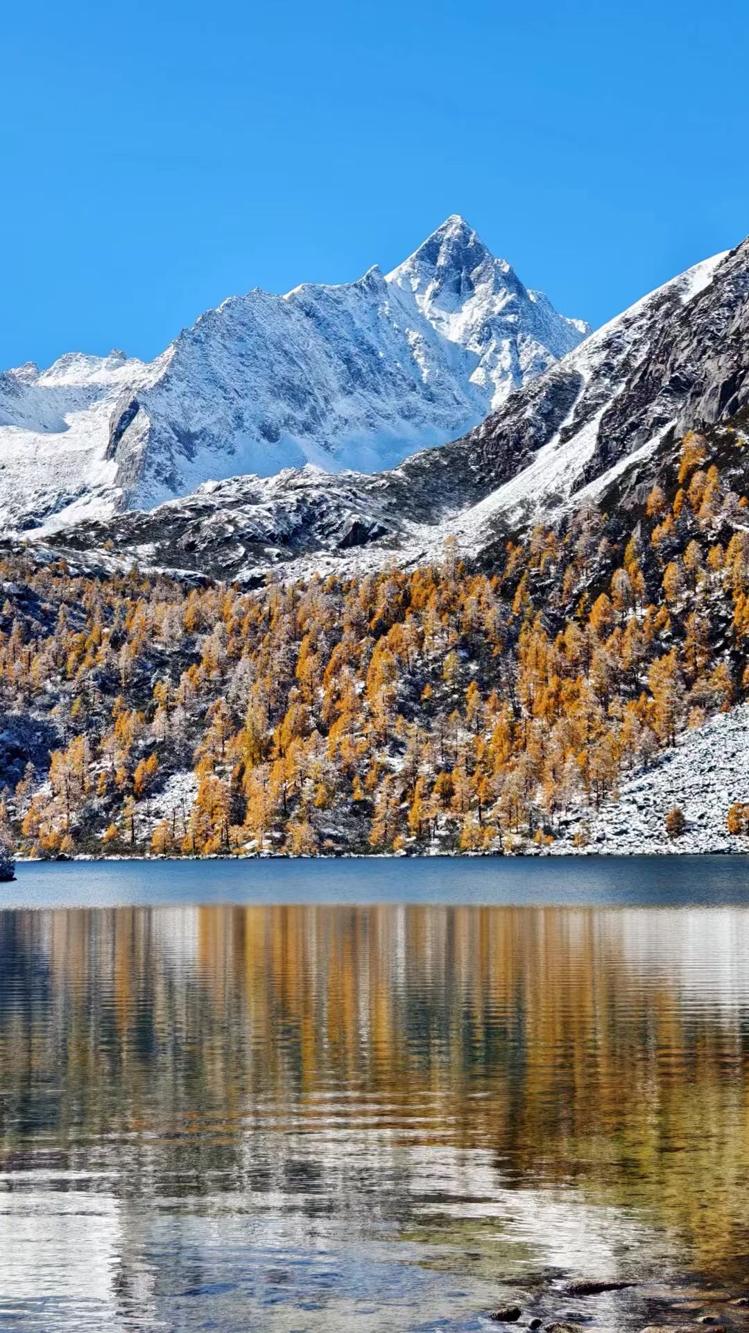 1762309876538380.jpg fe9f6f6a3de290c6de3404211cef7b8.jpg