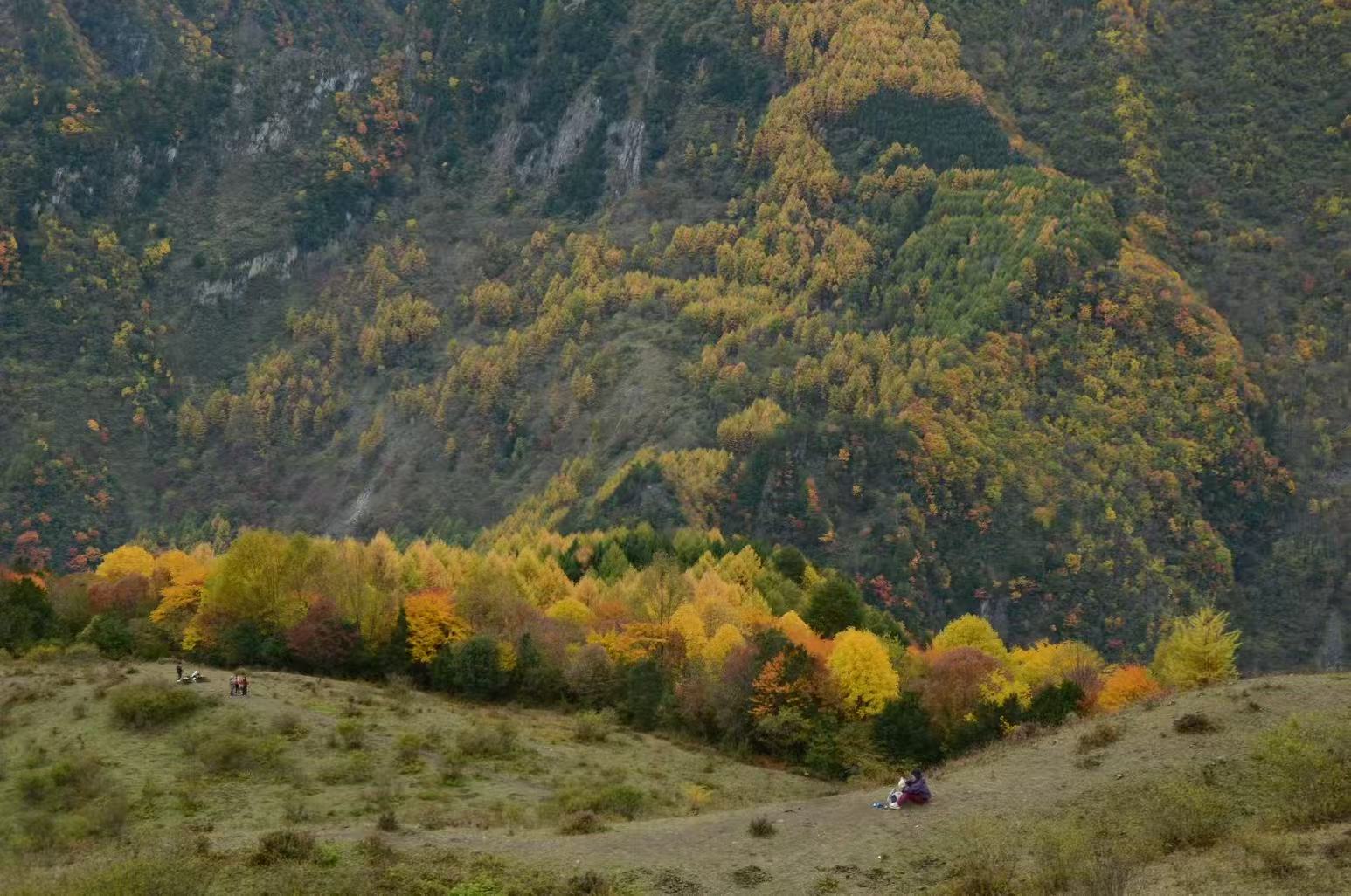 1762395021297748.jpg 微信图片_20251106100855.jpg