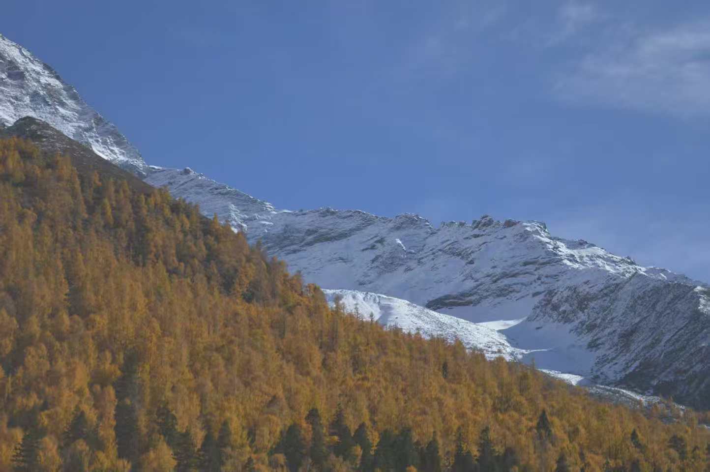 1762395069152312.jpg 微信图片_20251106100901.jpg