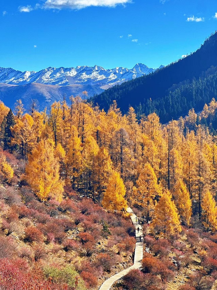 1762409900618431.jpg eb44234c86e8a752ca58de74a4a22b9.jpg