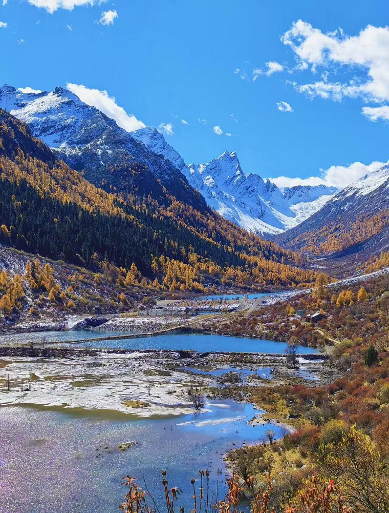 1762409910662749.jpg 11cd610b04f7a889a4b04211cc4ce83.jpg