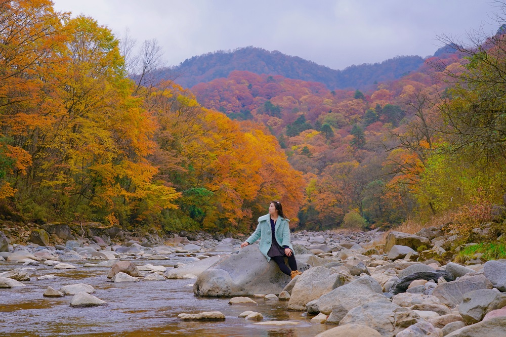 1762479324297946.jpg 3ac9a06cdda0983ece6a37581e68f6d.jpg