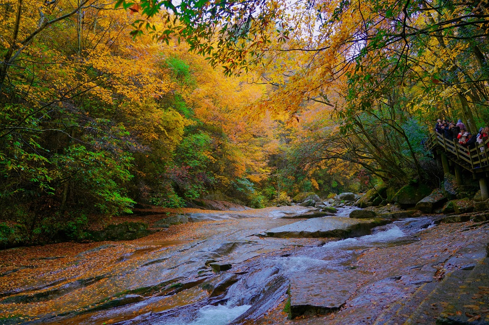 1762479331983067.jpg f53b01b2cfd3339ce01ebb8262f5780.jpg