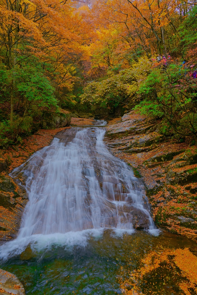 1762479337122631.jpg b445b949fb9f075690e09da8ff8b30a.jpg