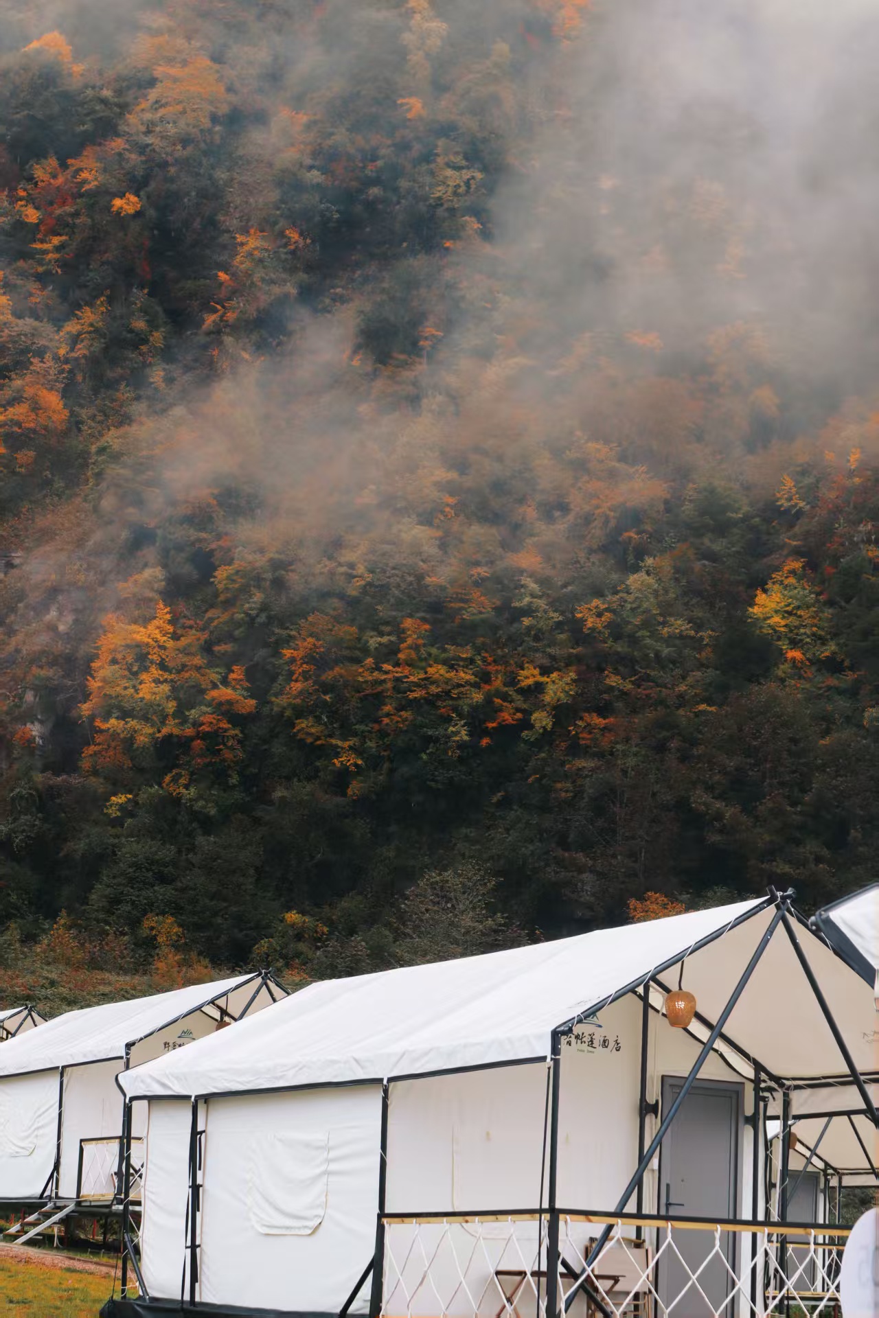 1762494817242181.jpg 0a4677a56f2e197c814e6d352a4aaaf.jpg