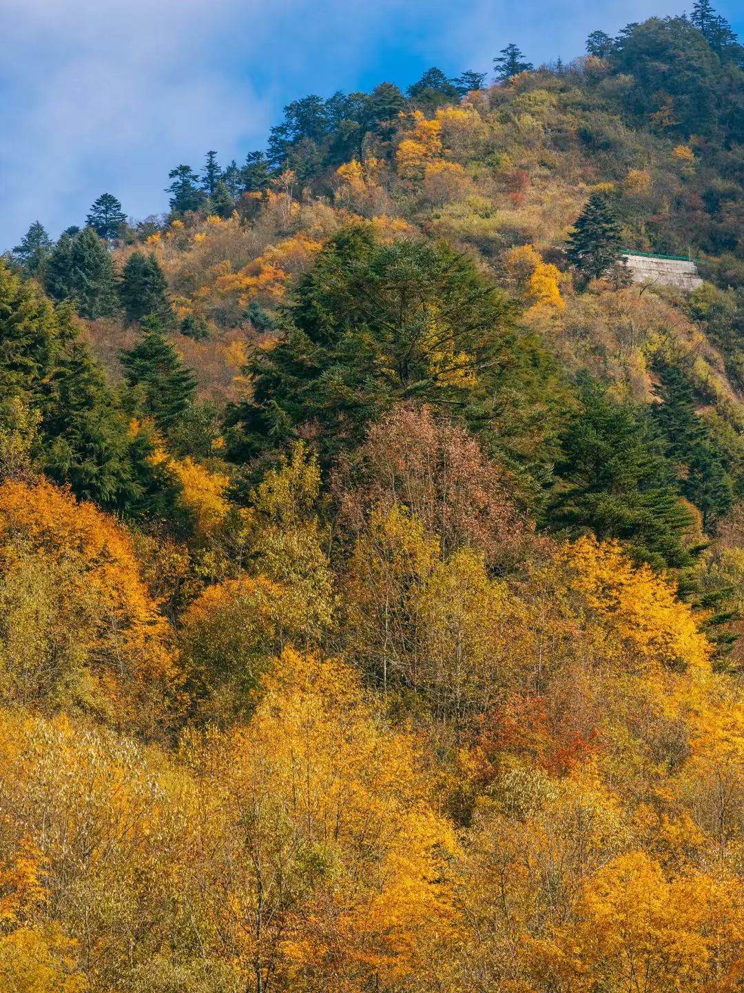 1762494881351370.jpg 07a09d44abda37c589fa21ba8574d56.jpg