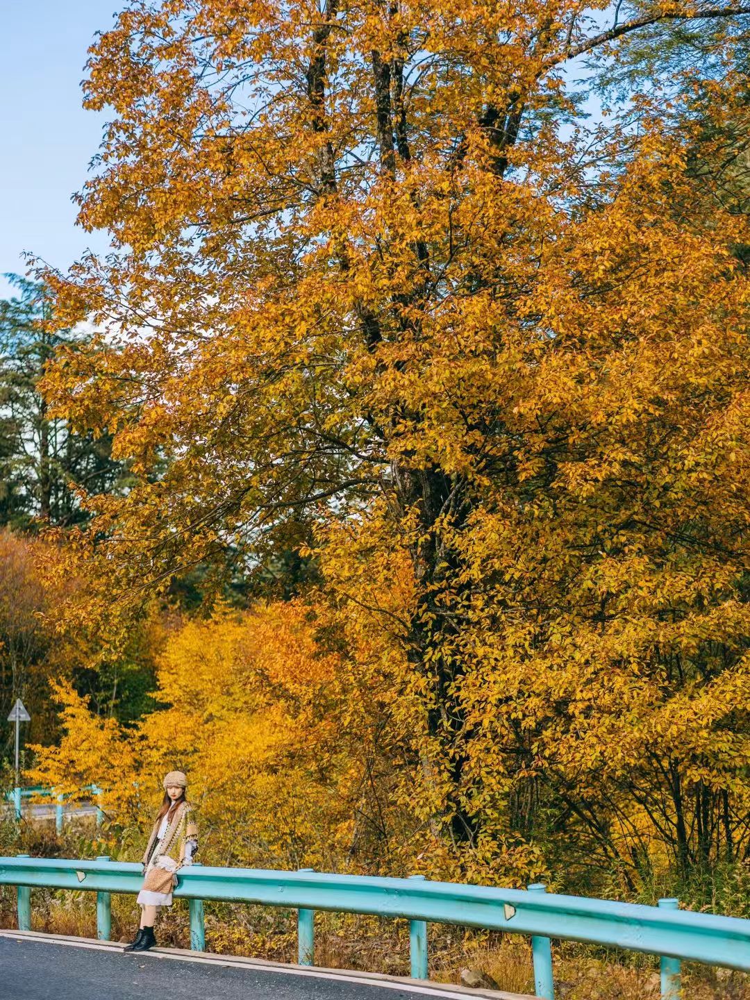 1762494980248430.jpg 4a0d26551371276d75e400ebd31d522.jpg