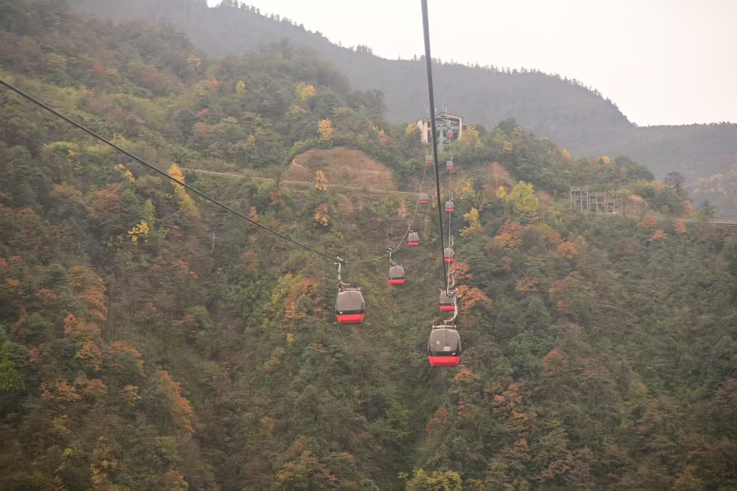 1762658348882728.jpg 微信图片_20251109111838.jpg