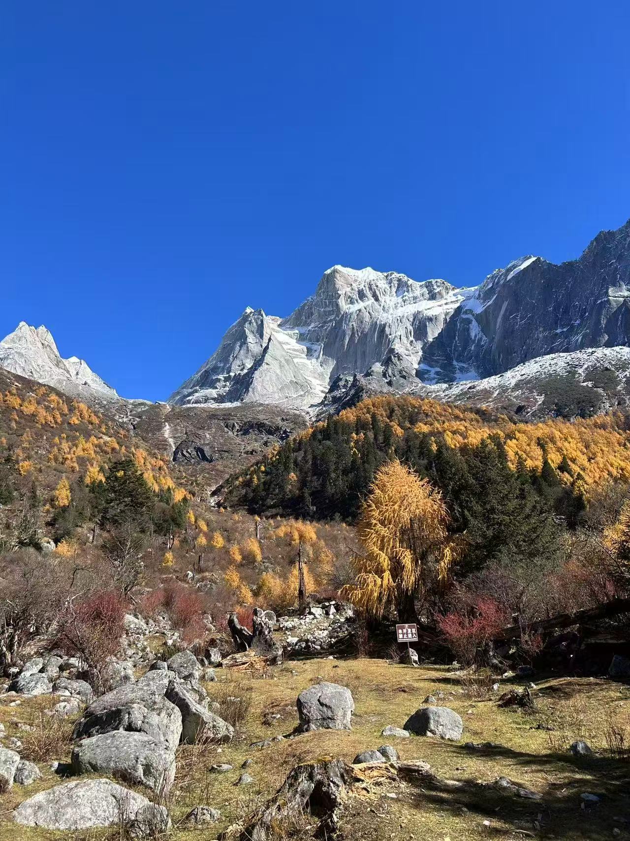 1762658510338567.jpg 微信图片_20251109112023.jpg