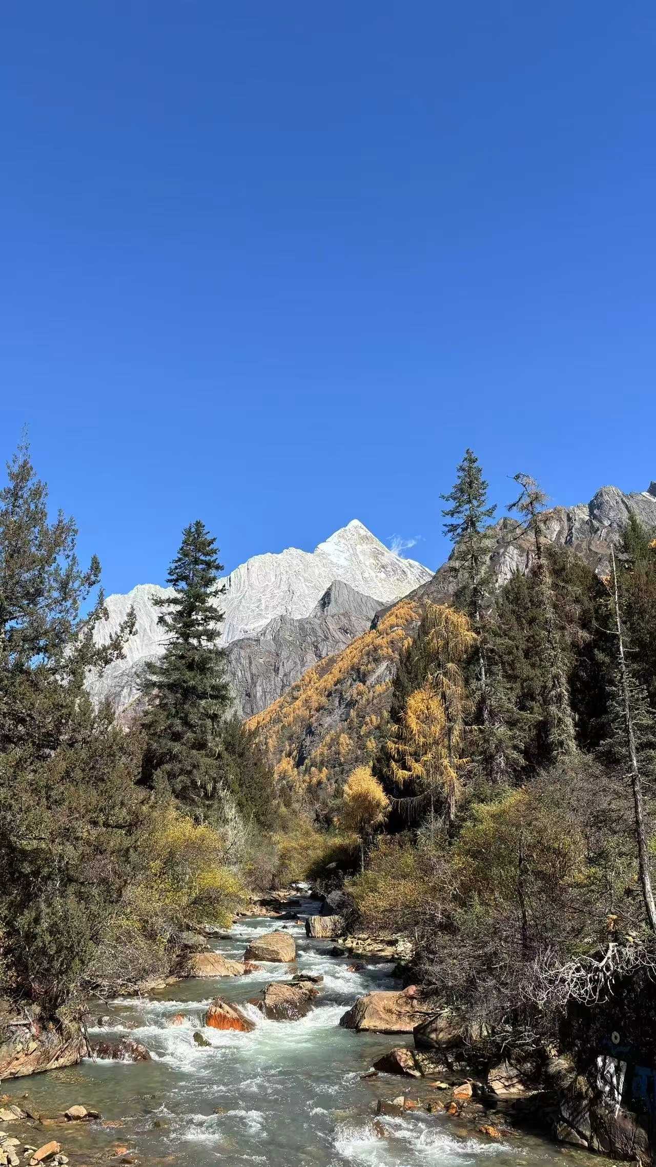 1762658512825612.jpg 微信图片_20251109112026.jpg