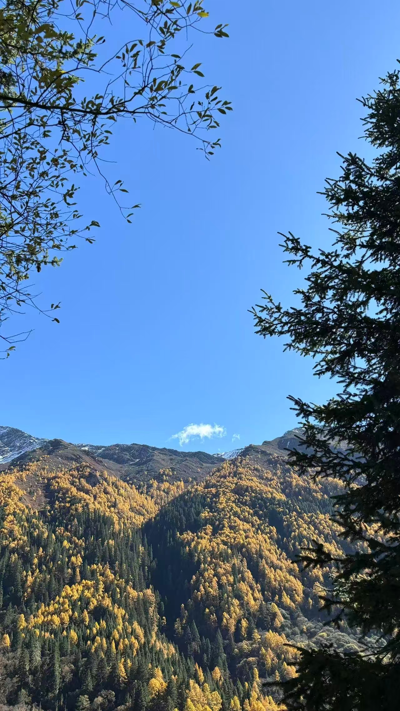 1762658515851746.jpg 微信图片_20251109112029.jpg