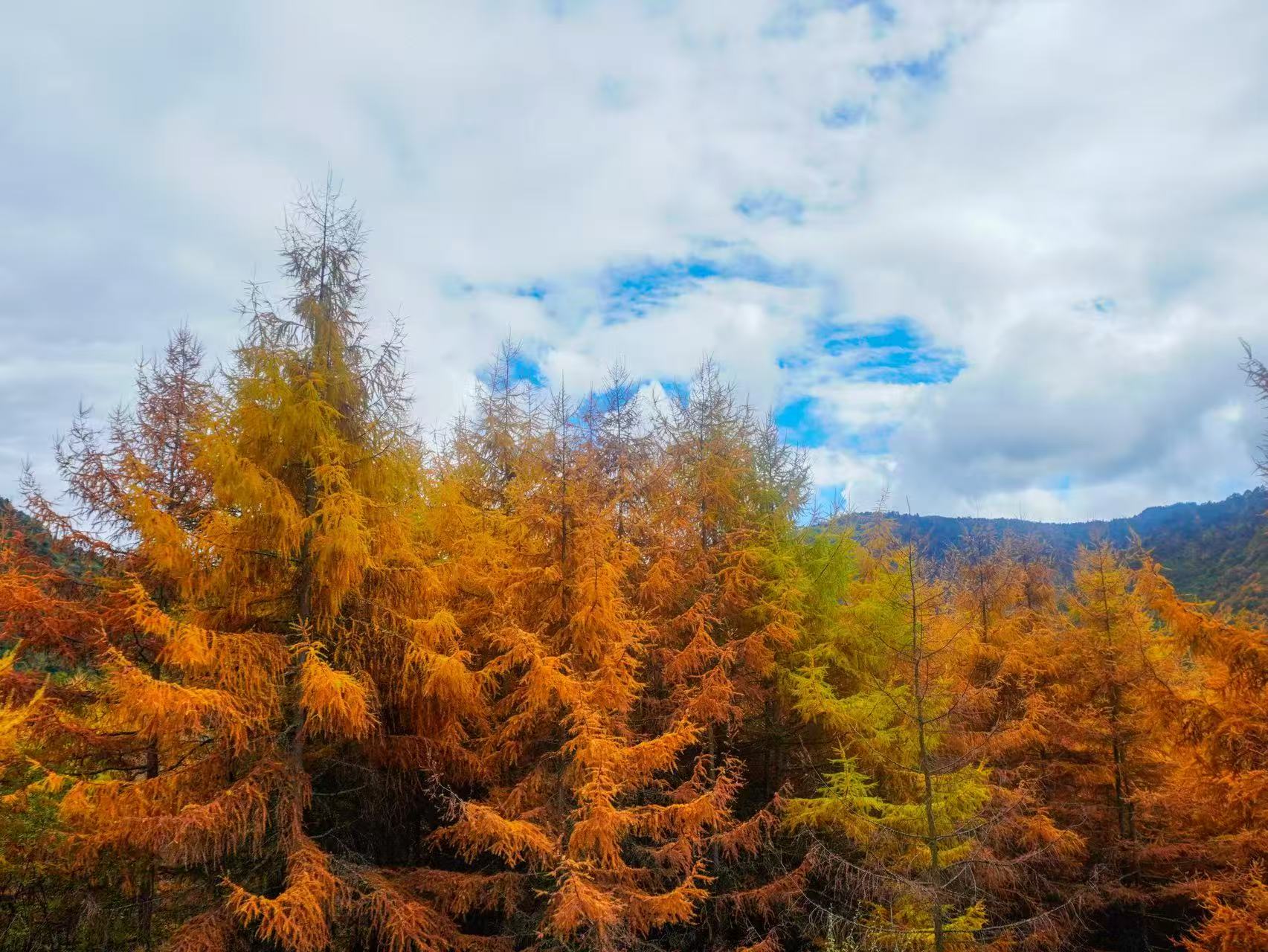 1762658690831505.jpg 微信图片_20251109112239.jpg