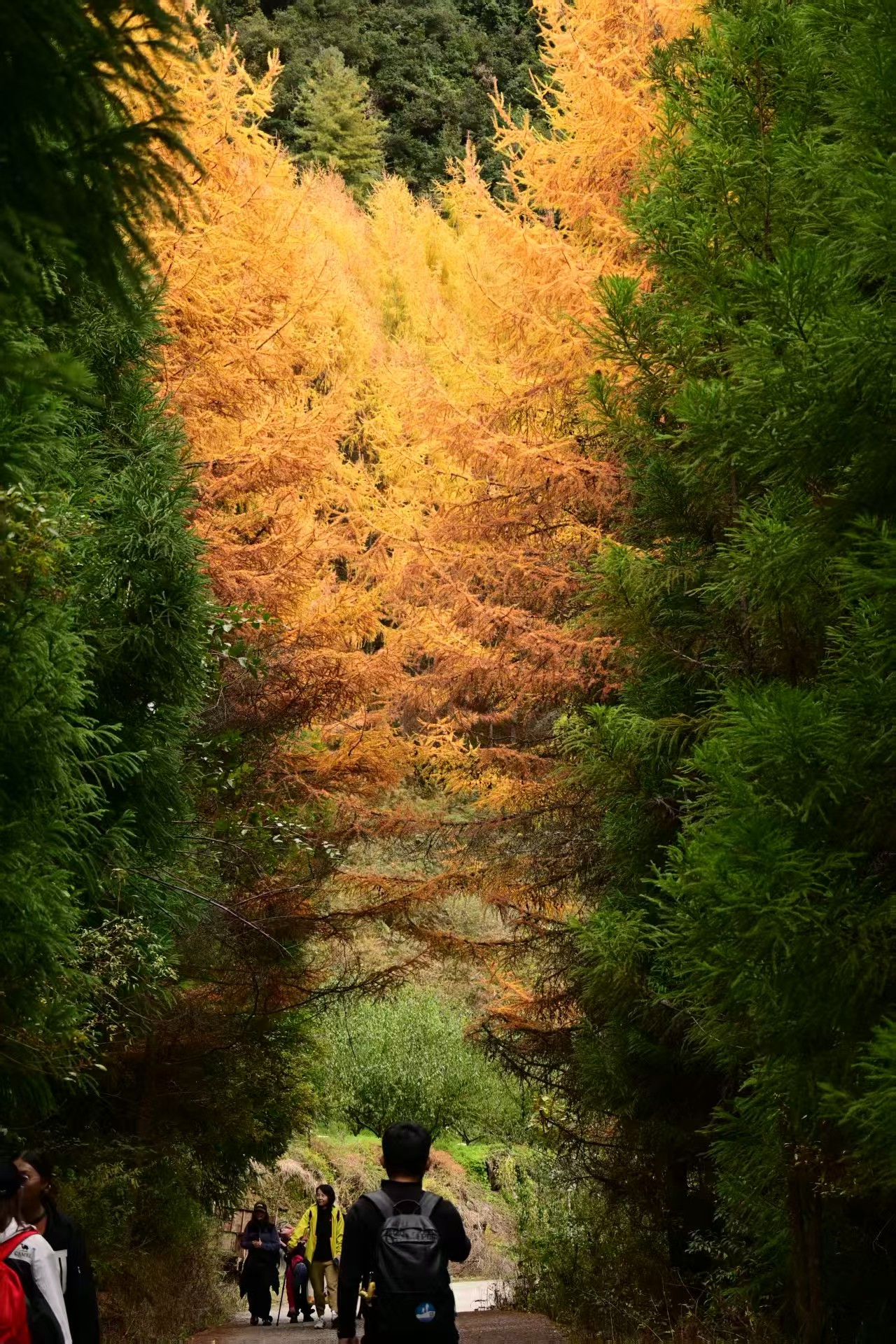 1762658714422847.jpg 微信图片_20251109112230.jpg