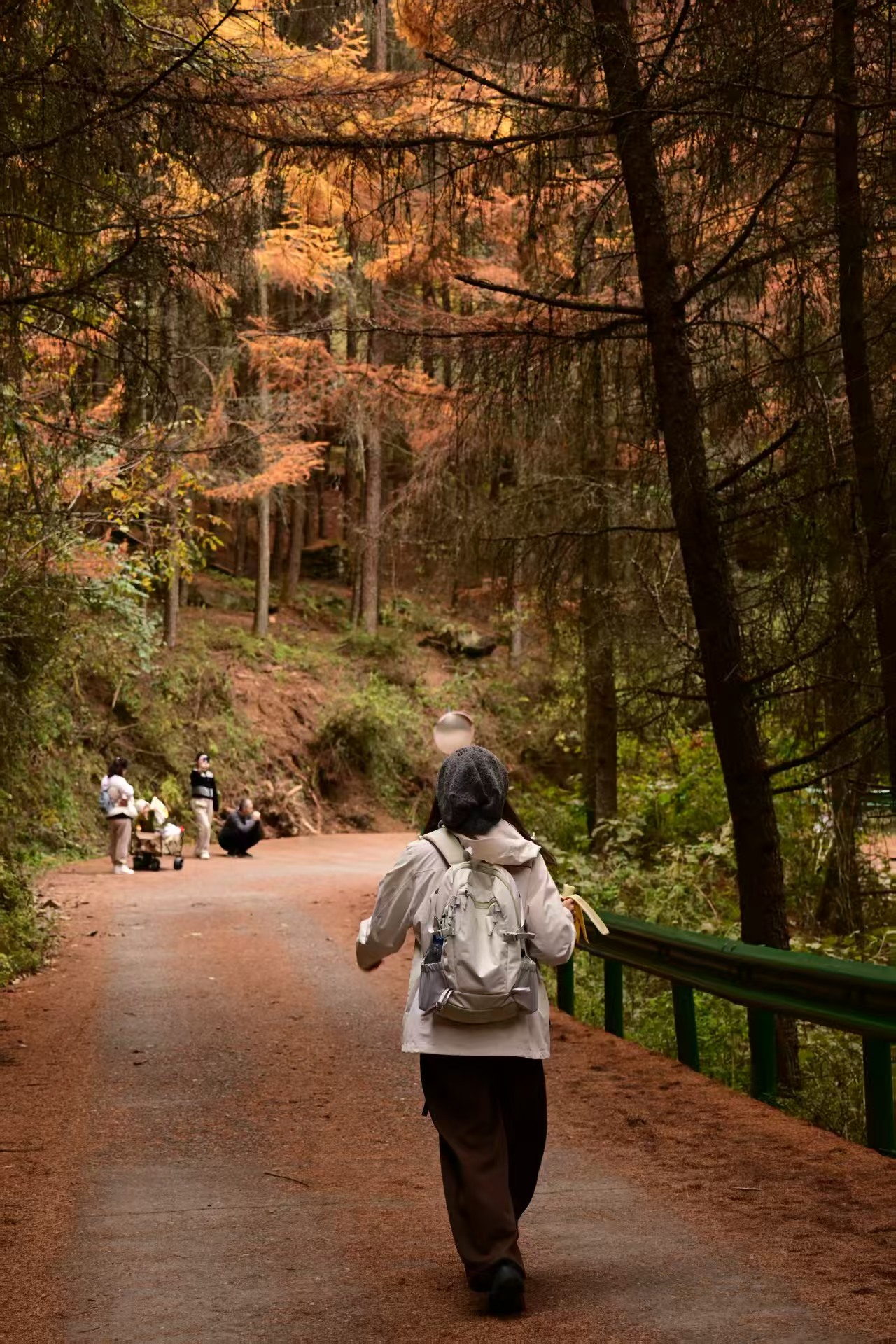 1762658718241974.jpg 微信图片_20251109112233.jpg